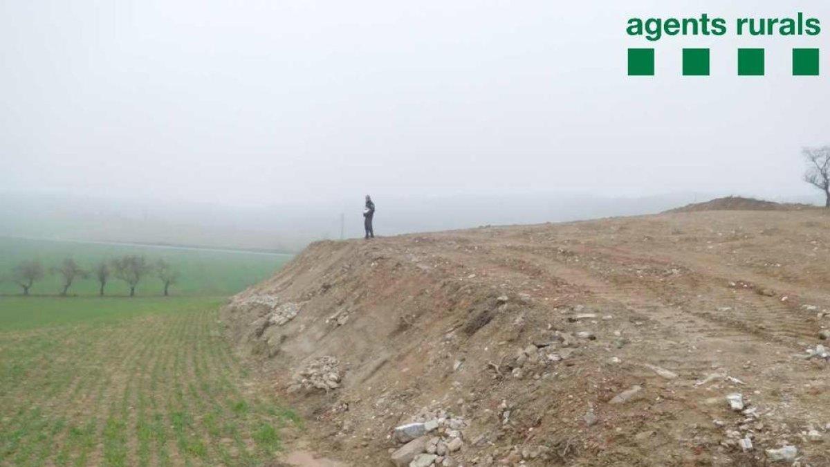 Vista del campo tras la actuación irregular en Artesa de Segre.