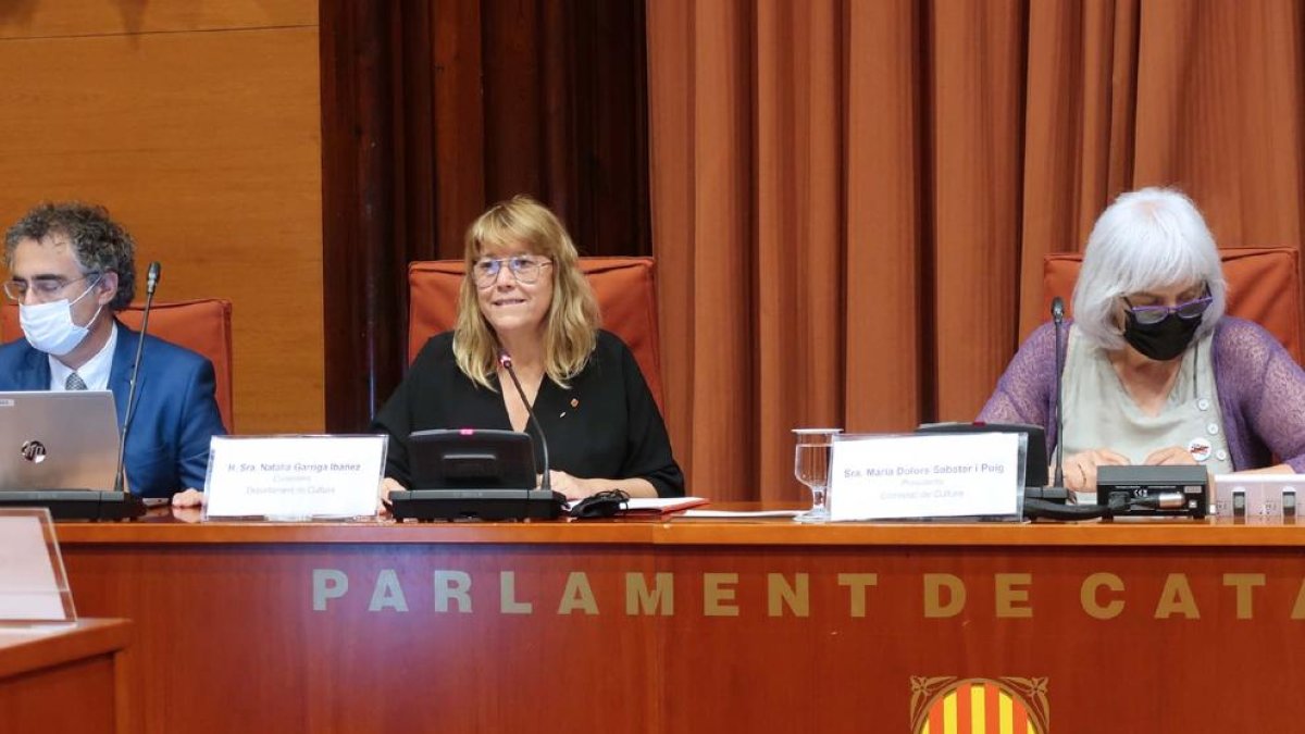 La consellera, Natàlia Garriga, en su comparecencia en el Parlament.