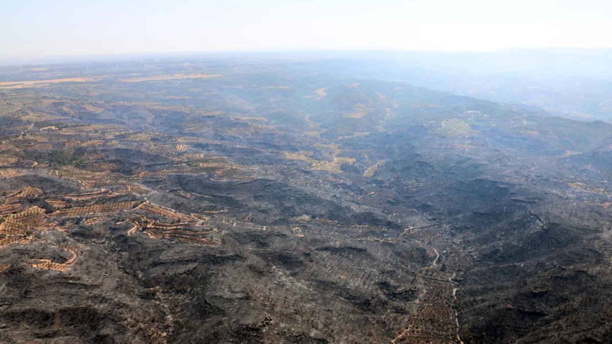 Vista aérea de zona quemada por el incendio.
