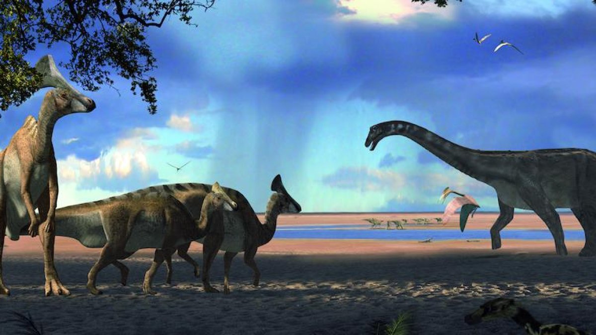 Restos hallados en Els Nerets de los primeros lambeosaurios.