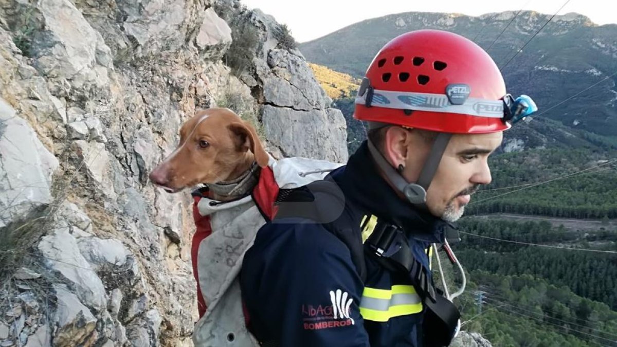 Rescaten un gos atrapat una nit a la presa de Canelles