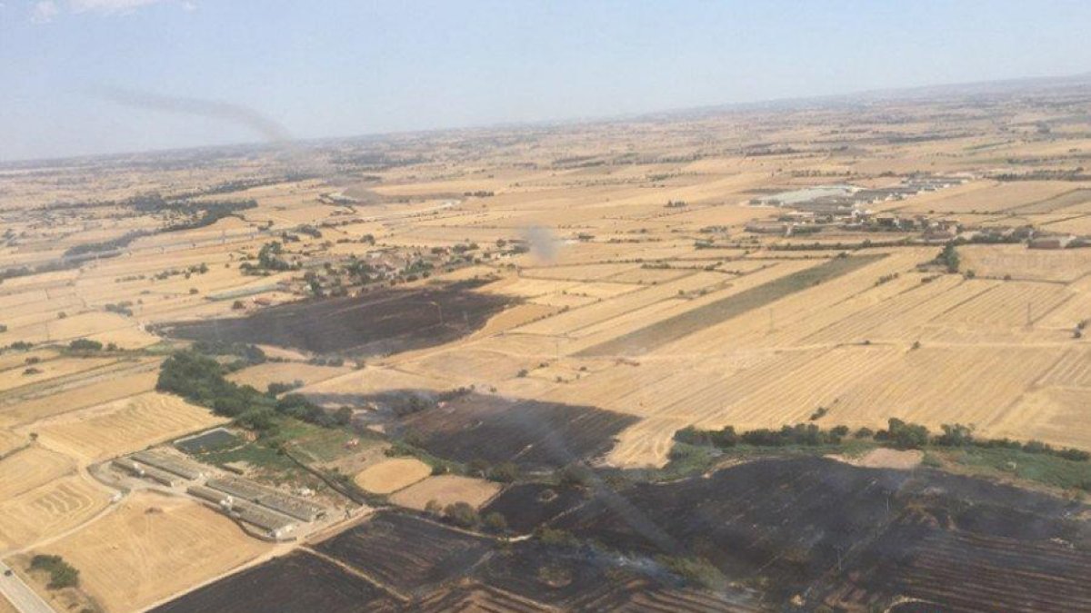 Incendis de vegetació a Pallargues i Rocallaura