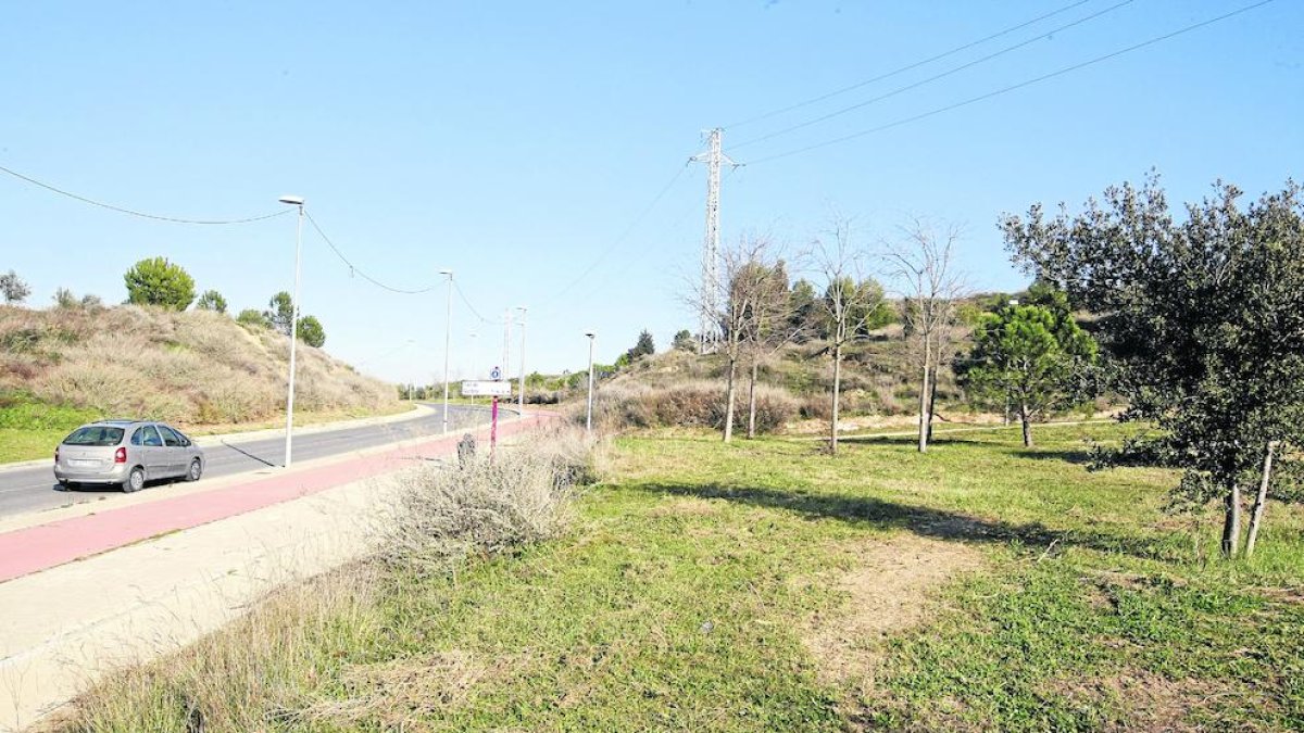 Lloc en el qual la Paeria preveu construir la zona de pícnic.