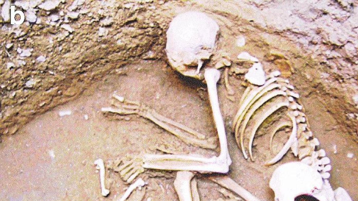 Una mujer enterrada con dos zorros en el yacimiento de Minferri.