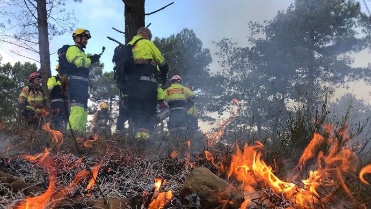 Un grupo de bomberos trabaja en la extinción de un incendio.