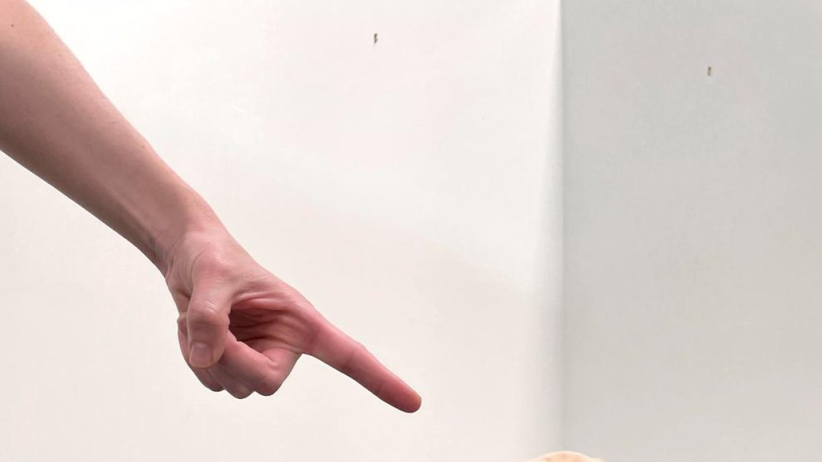 Els gossos naixen preparats per comunicar-se amb les persones