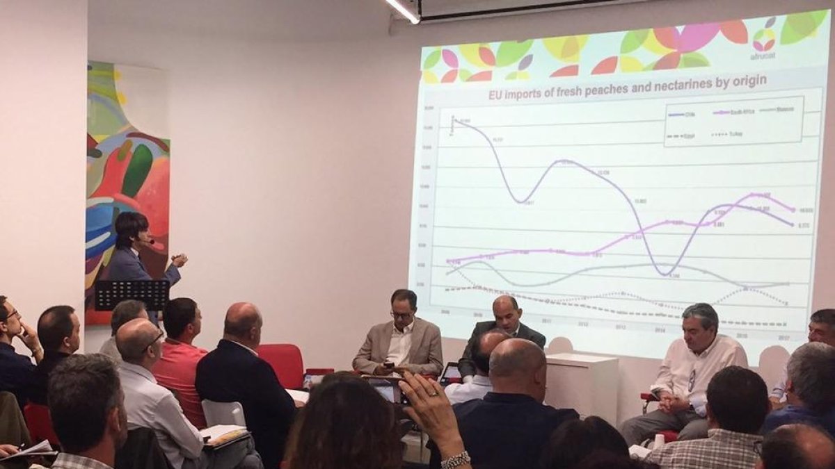 La collita de fruita de pinyol a Lleida creixerà un 28% aquesta campanya
