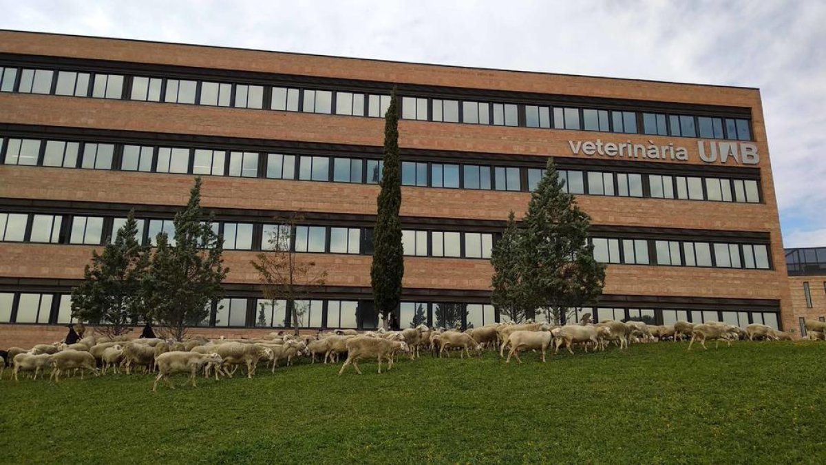 El exterior de la Facultad de Veterinaria.