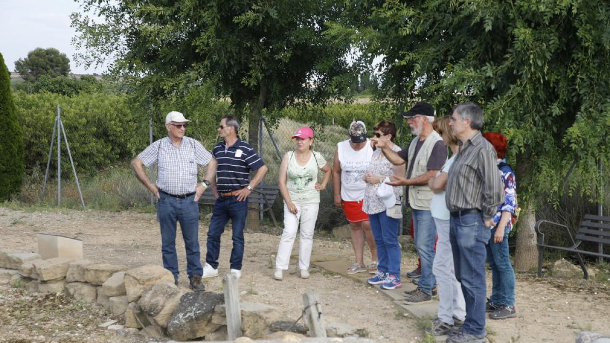 Imatge d’arxiu d’una visita a la vil·la romana del Romeral.
