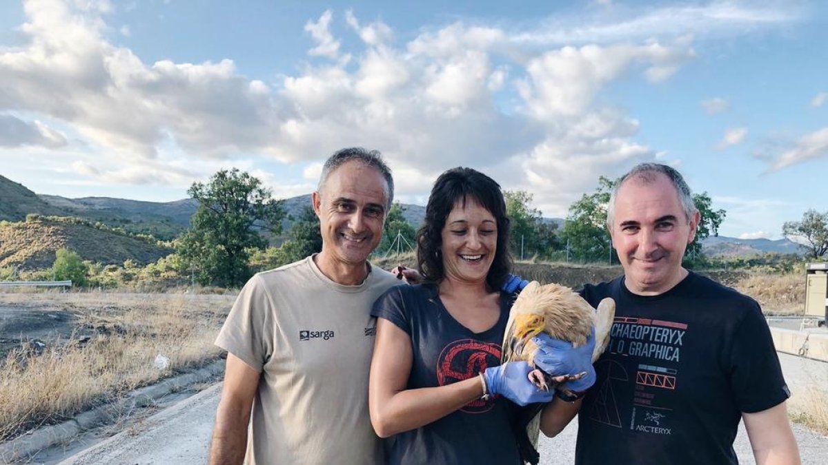 Imatge de tres tècnics amb un exemplar d’aufrany que es va capturar a l’abocador de Fígols.