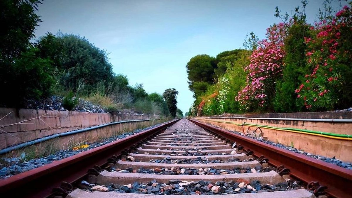 'Camins' que porten al Parador
