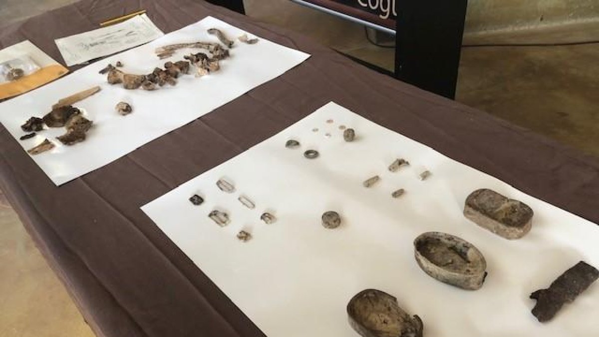 Restos encontrados en las fosas del Cogul.