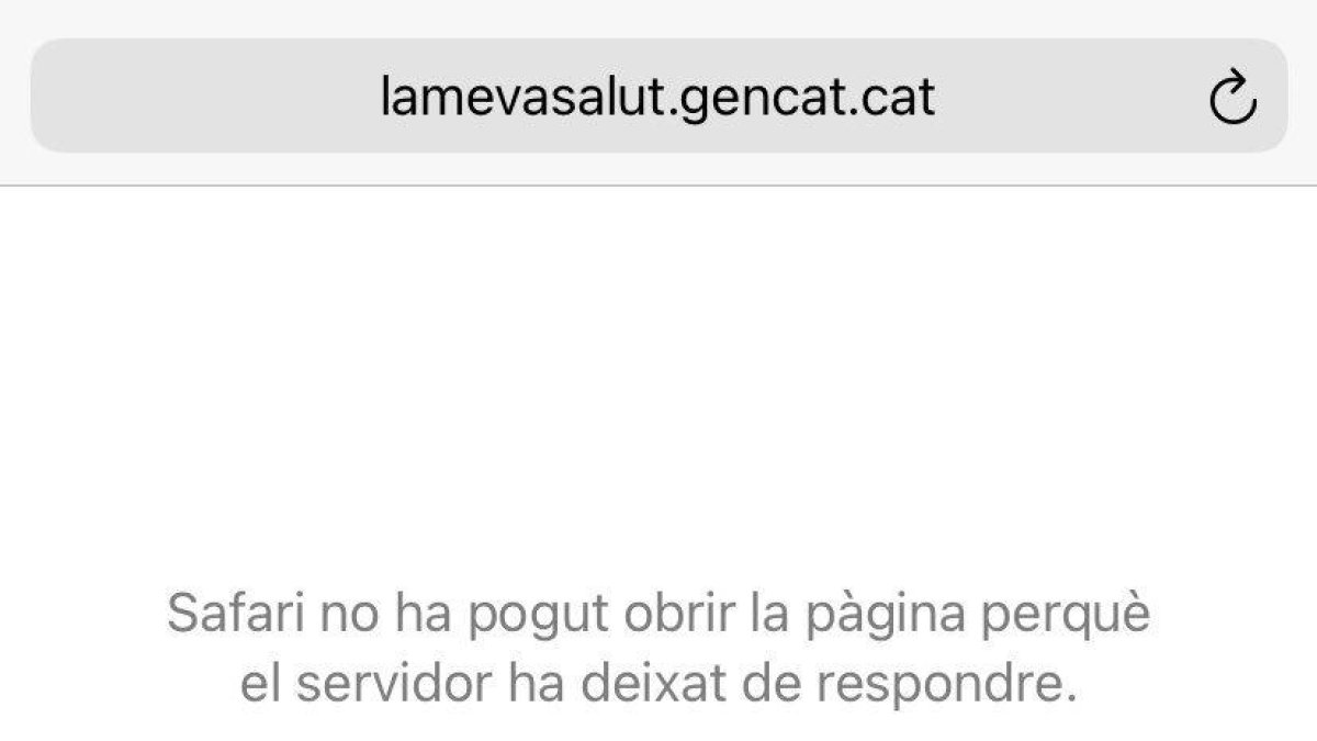 El ataque provocó problemas para acceder a la web 'La meva salut'