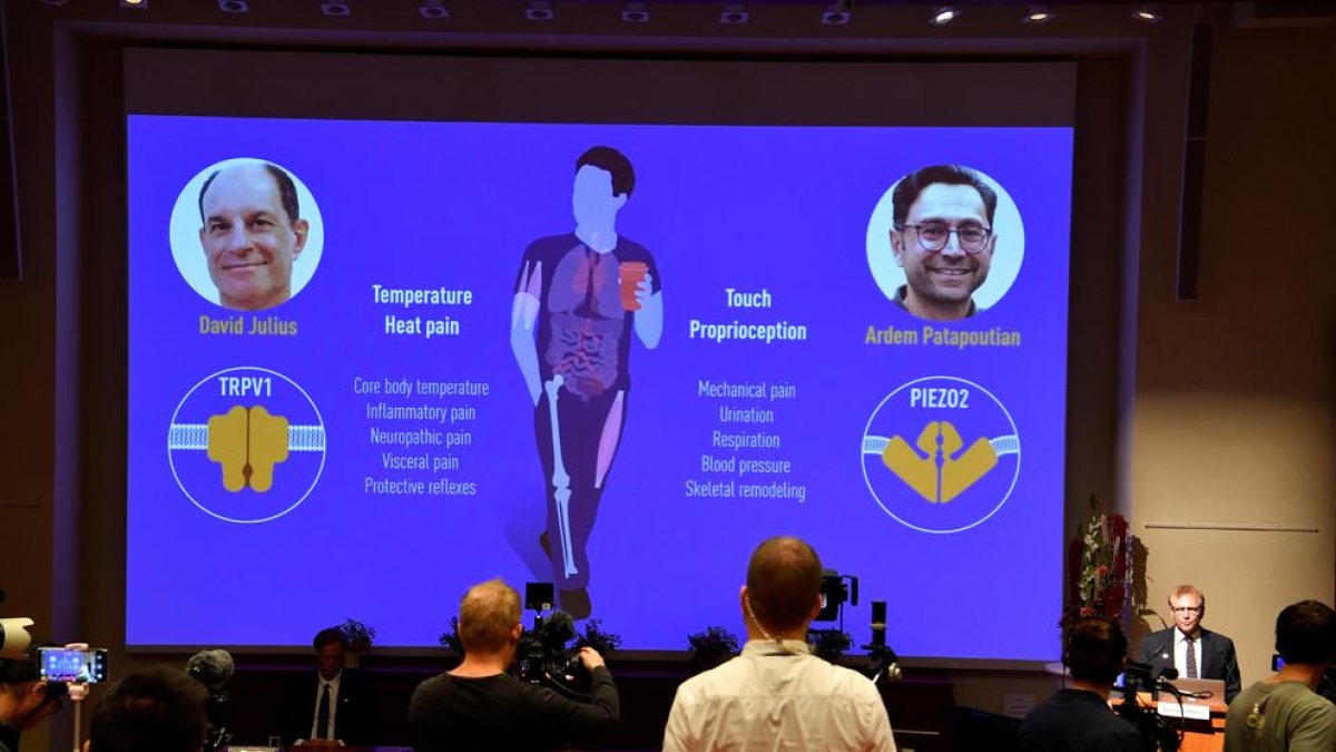 Patrik Ernfors parla sobre els guanyadors del Nobel de Medicina.