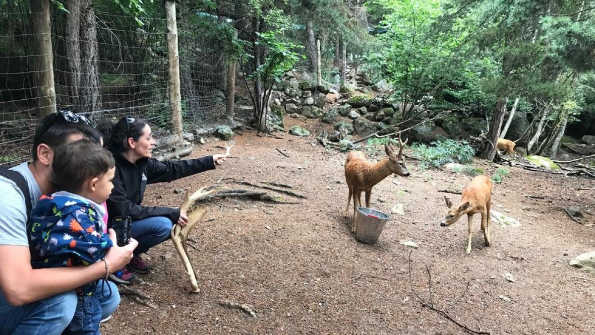 Los visitantes podrán conocer de cerca la fauna autóctona.