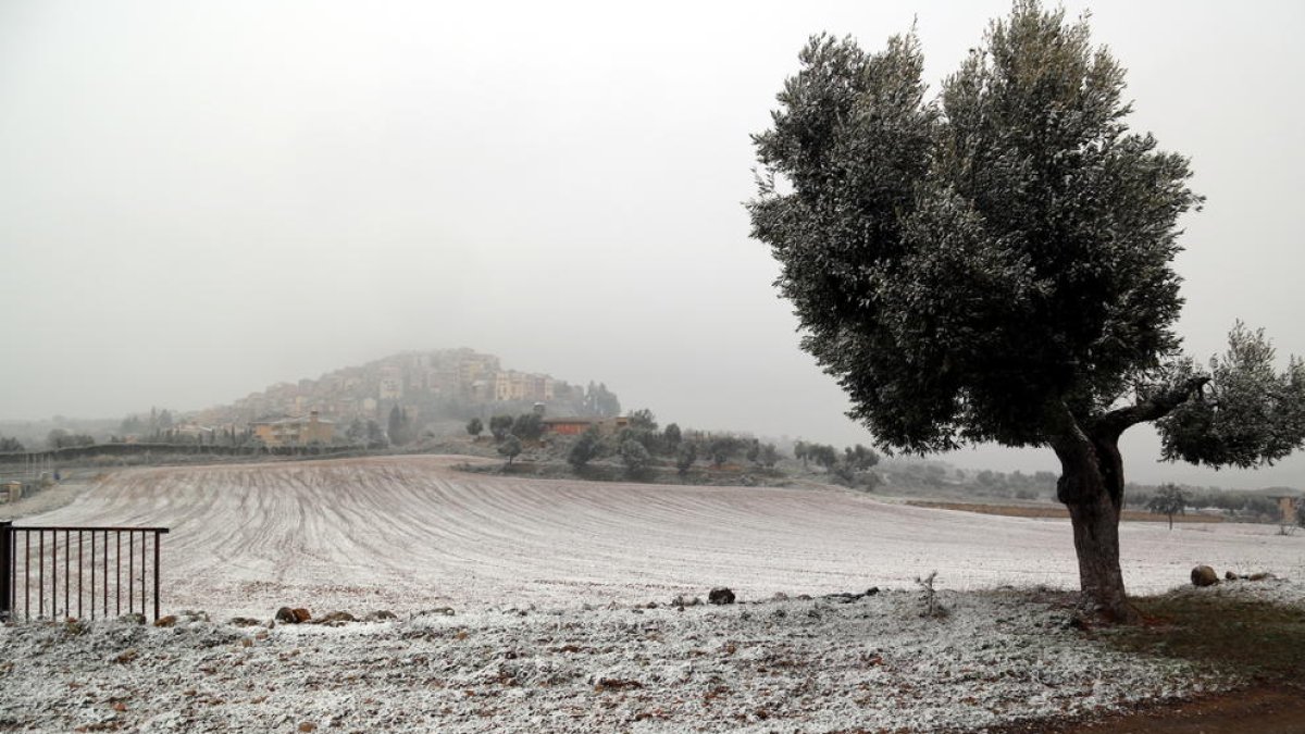 Un sembrat enfarinat per la neu a l'entrada d'Horta de Sant Joan aquest dijous.
