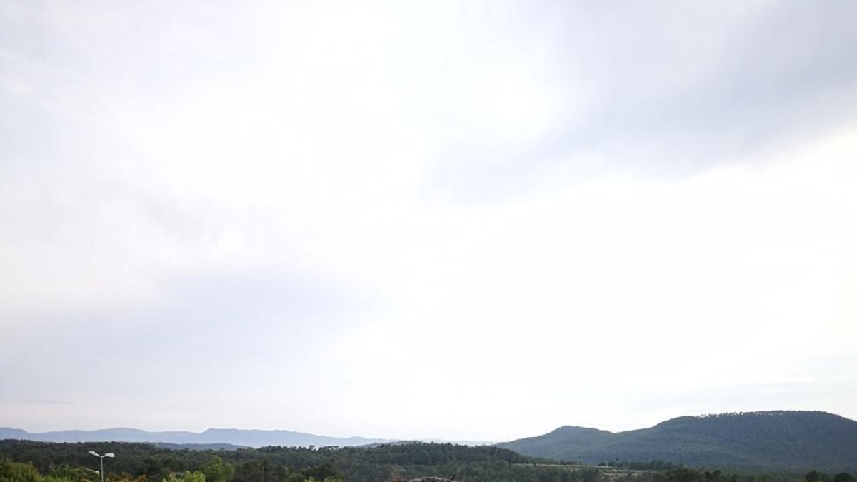 «¡Somos muy buenos en Fulleda!»