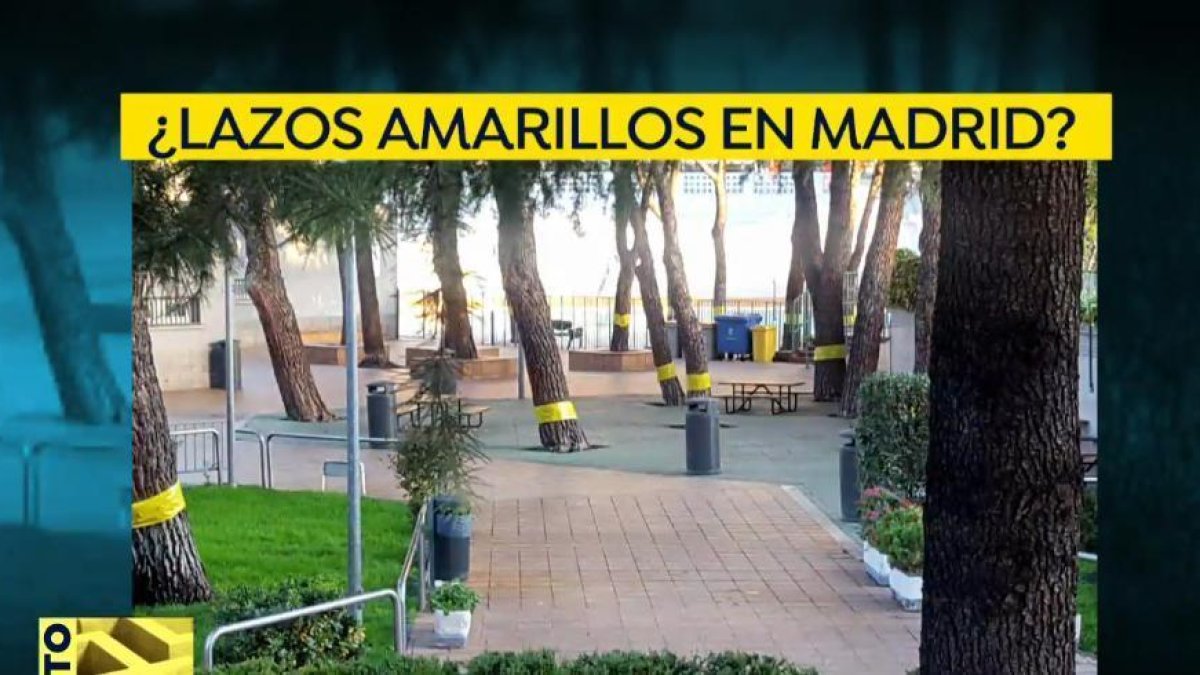 Retiren a Madrid llaços grocs que eren cintes contra les erugues
