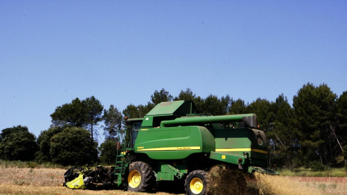 Imagen de labores de cosecha de cereal en una finca de Lleida.