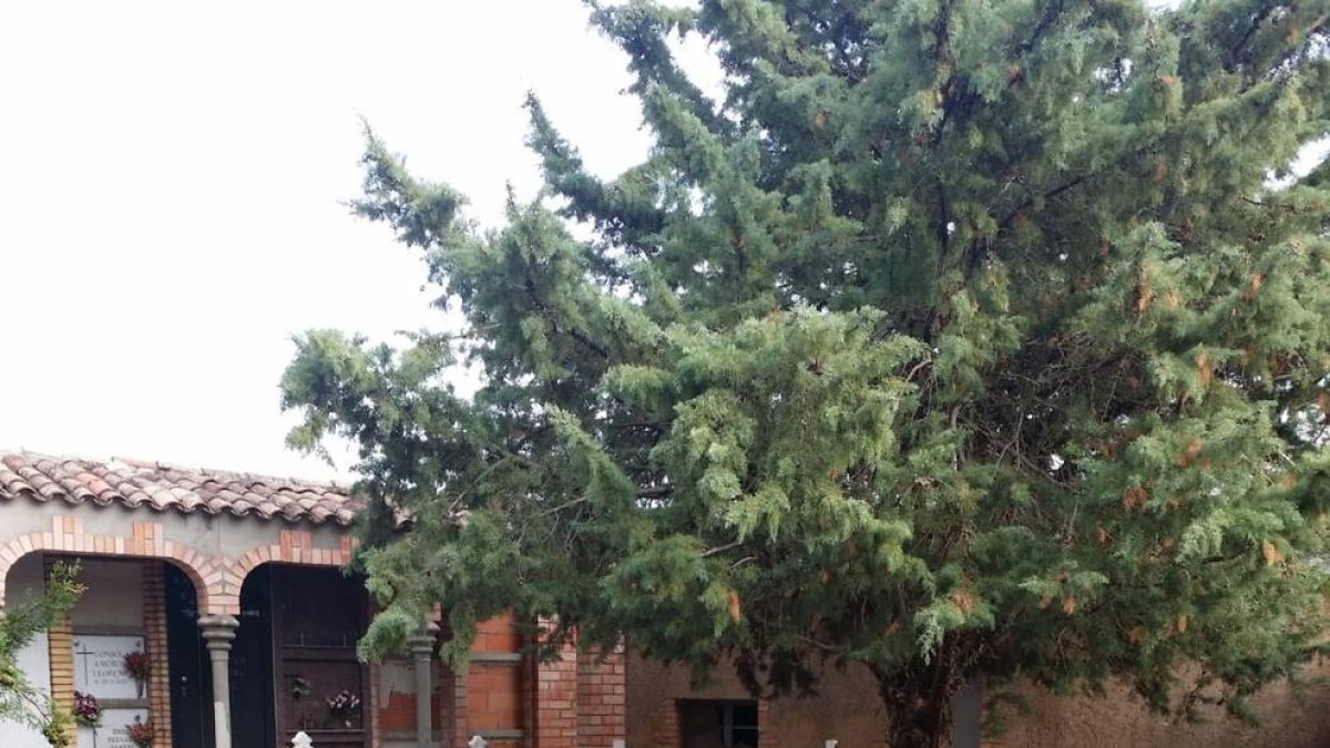 El cementerio del núcleo de Suterranya, en Tremp.