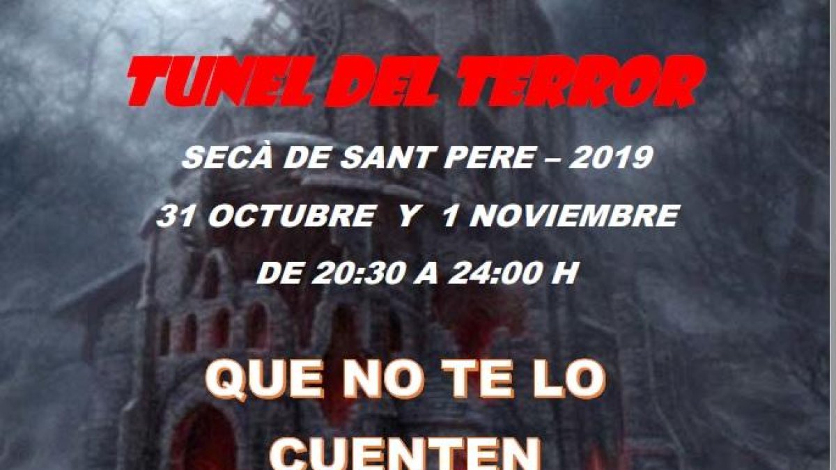 Cartel promocional que ha hecho la asociación de vecinos.