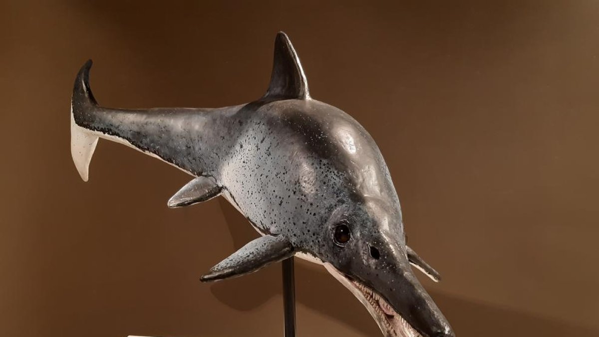 Reproducción de un ictiosaurio, un reptil marino único en Catalunya, localizado en Alòs de Balaguer.