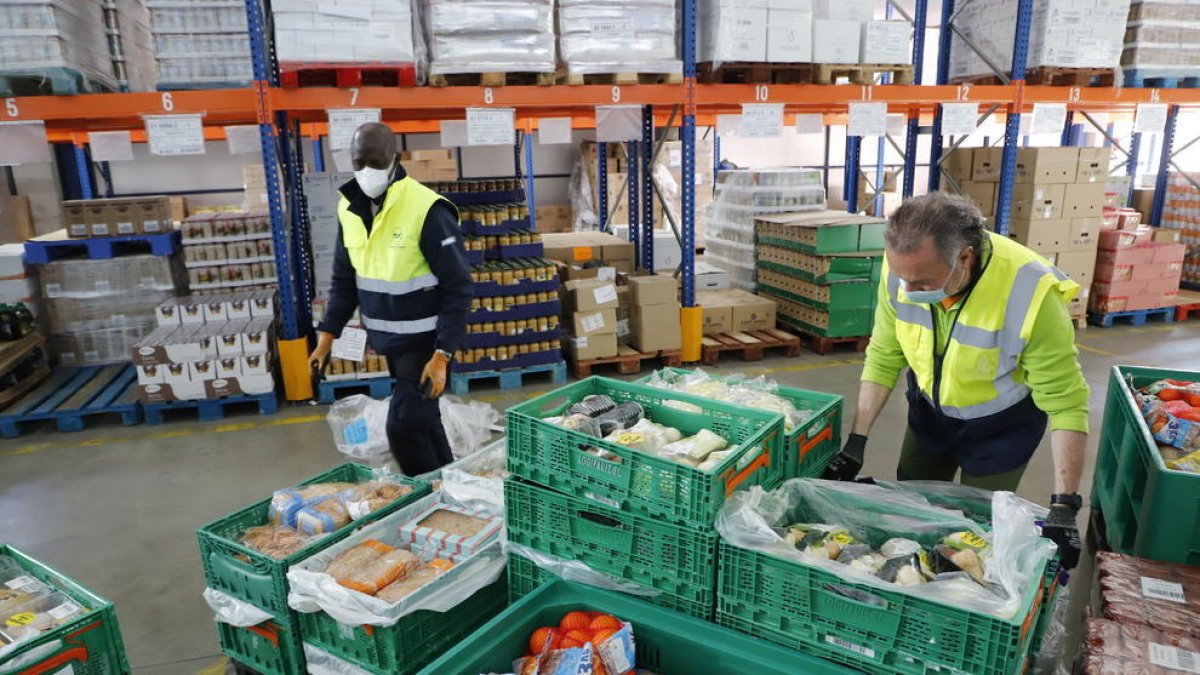 Voluntaris treballant a la nau del Bancs dels Aliments de Lleida al polígon Neoparc.