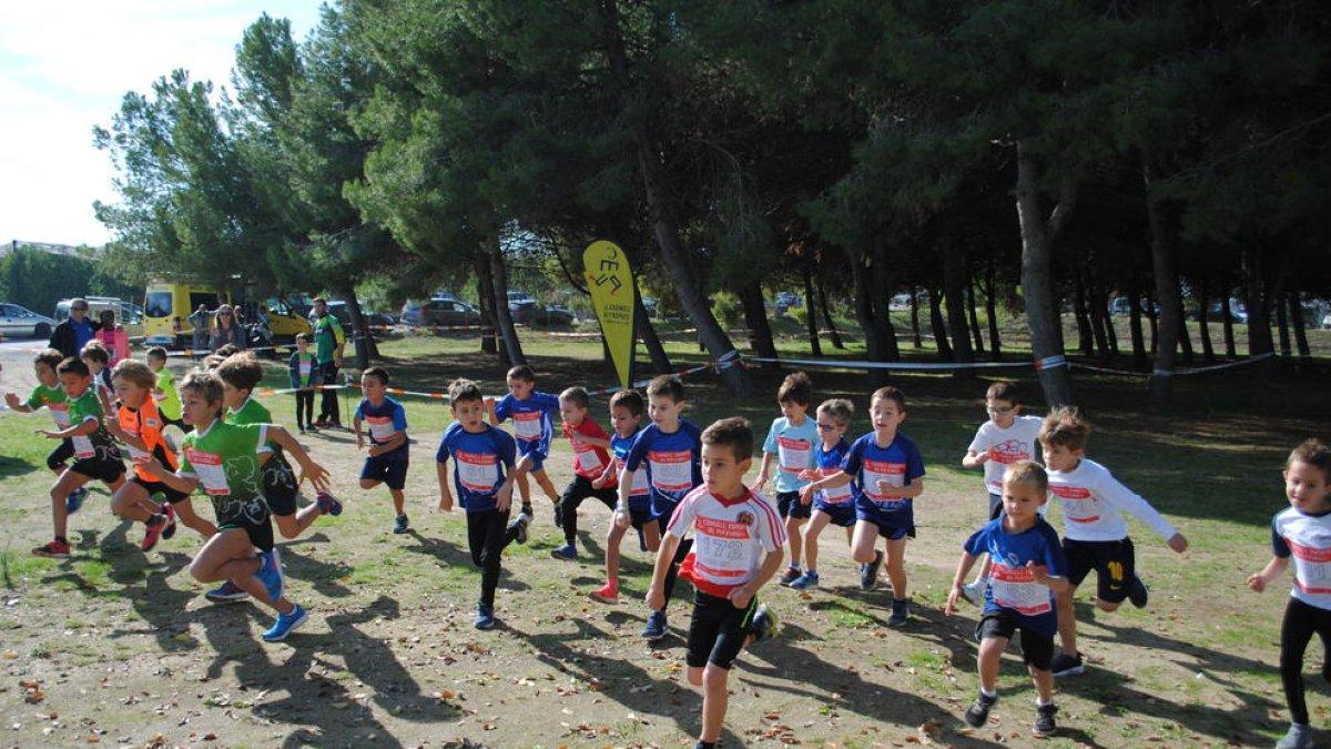 Casi 400 atletas en el cross del Pla d’Urgell