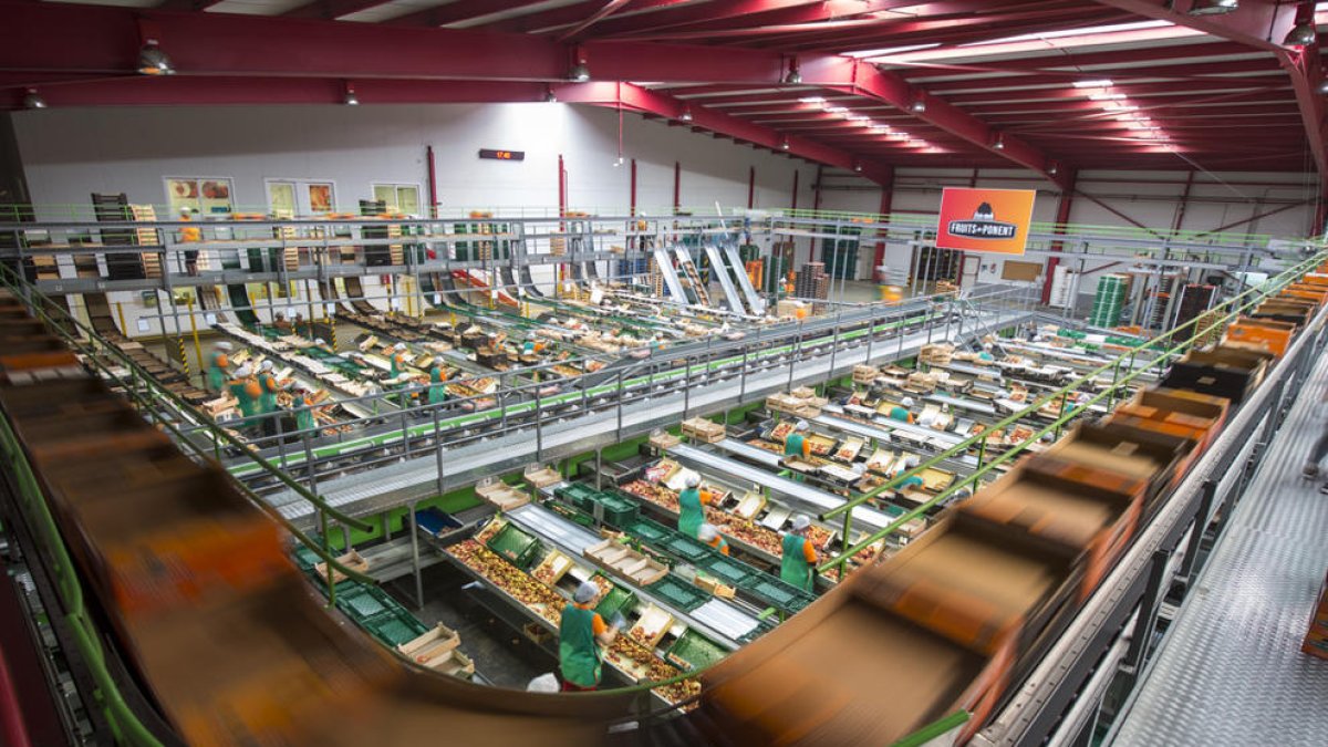 Productors del Segrià distribueixen aliments a domicili