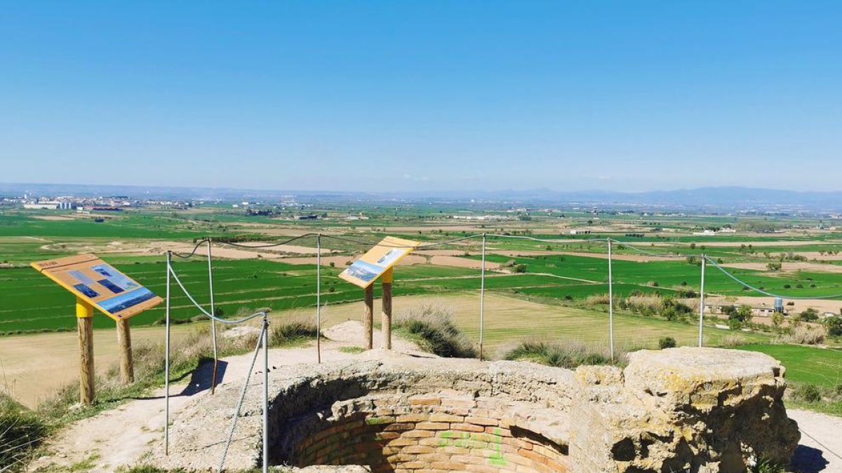 Punt d’observació