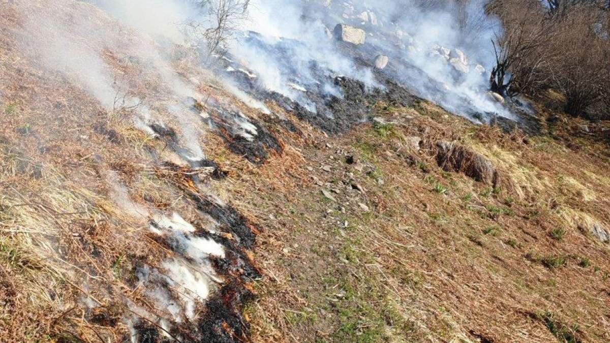 Un incendio en Les quema unas 60 hectáreas de matorral, sotobosque y pastos