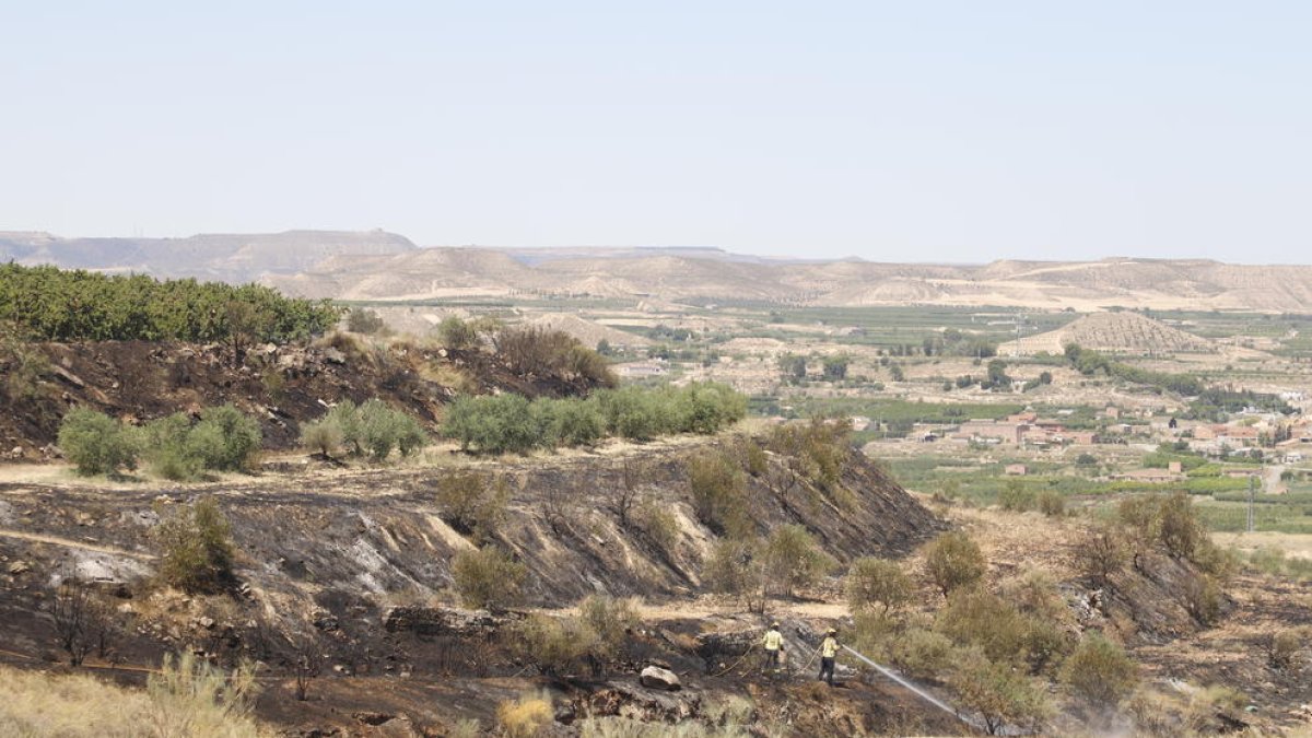 Bombers sufocant l’incendi de Seròs, que va afectar 7 hectàrees.