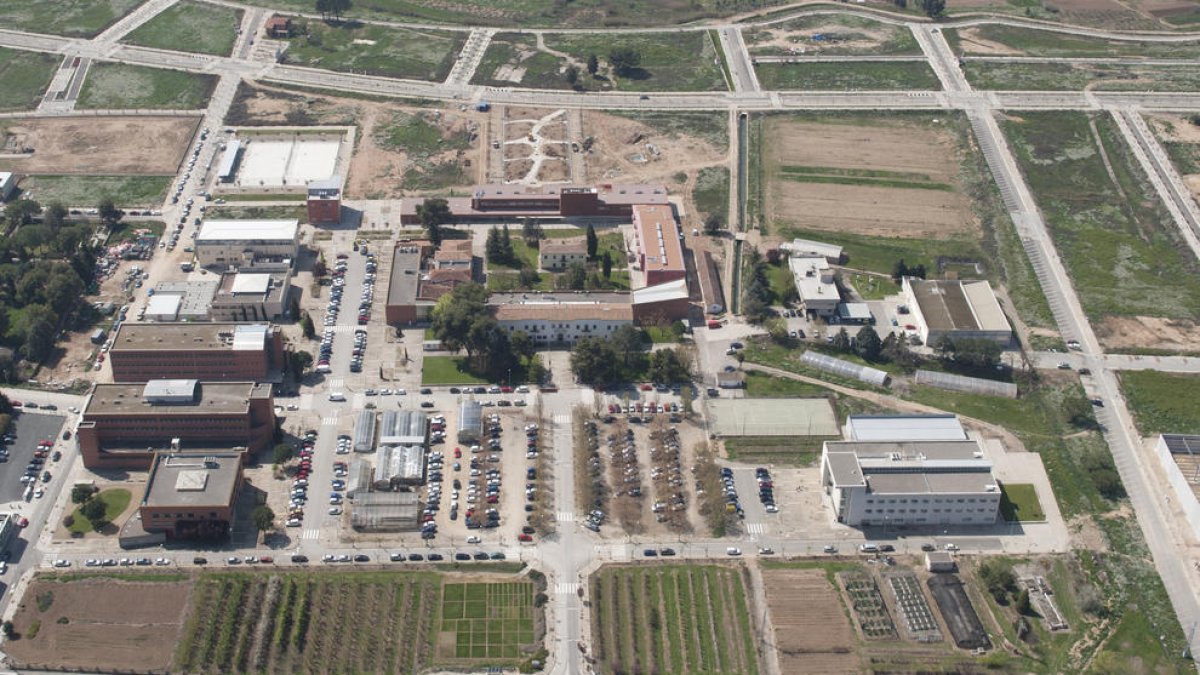 Imatge d’arxiu del campus de l’Escola d’Agrònoms de Lleida.