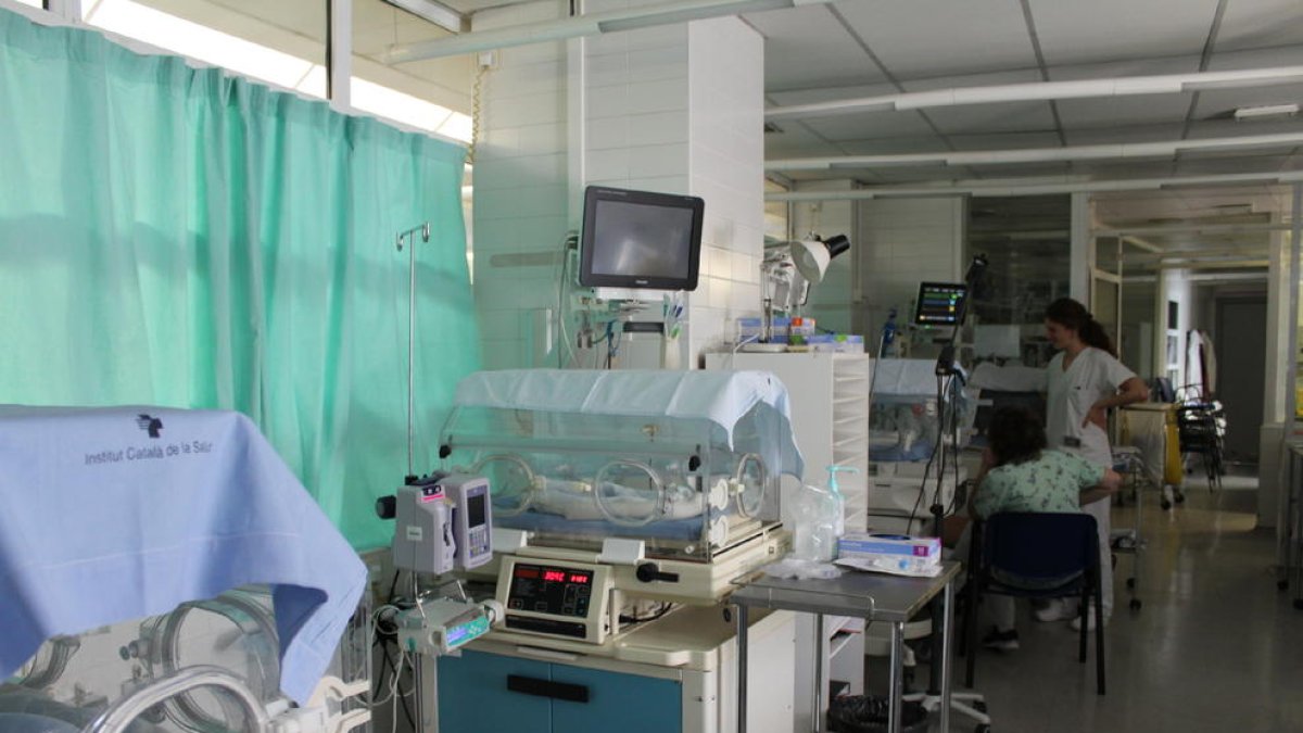 Sala de neonatología en el hospital Arnau de Vilanova de Lleida.
