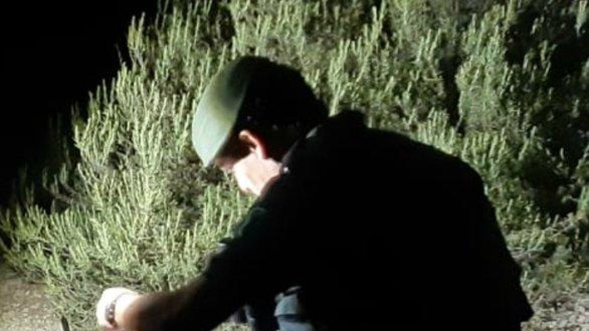 Arma decomisada al cazador denunciado por los Agentes Rurales.