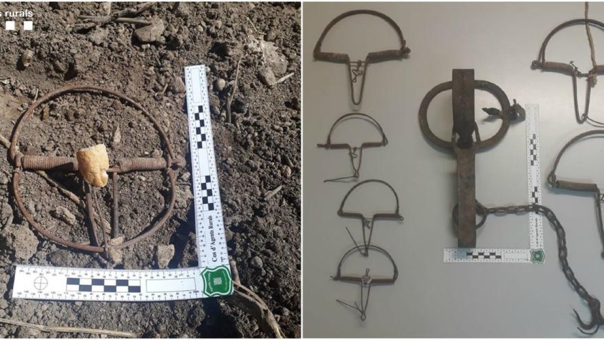 Imagen de las trampas que han sido incautadas.