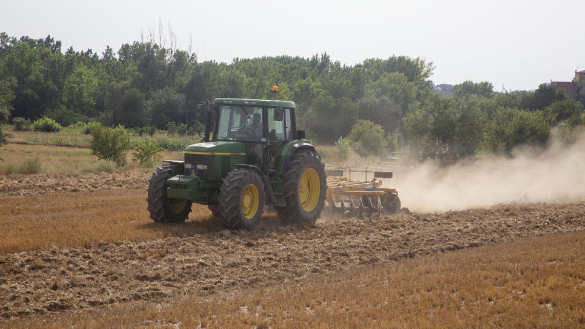 Crida a l’agricultura per crear tallafocs - La Generalitat va fer ahir una crida a les entitats agràries perquè llaurin els camps de cereal de manera perimetral, a fi de crear franges de protecció que actuïn a mode de tallafocs. A la imatge,  ...