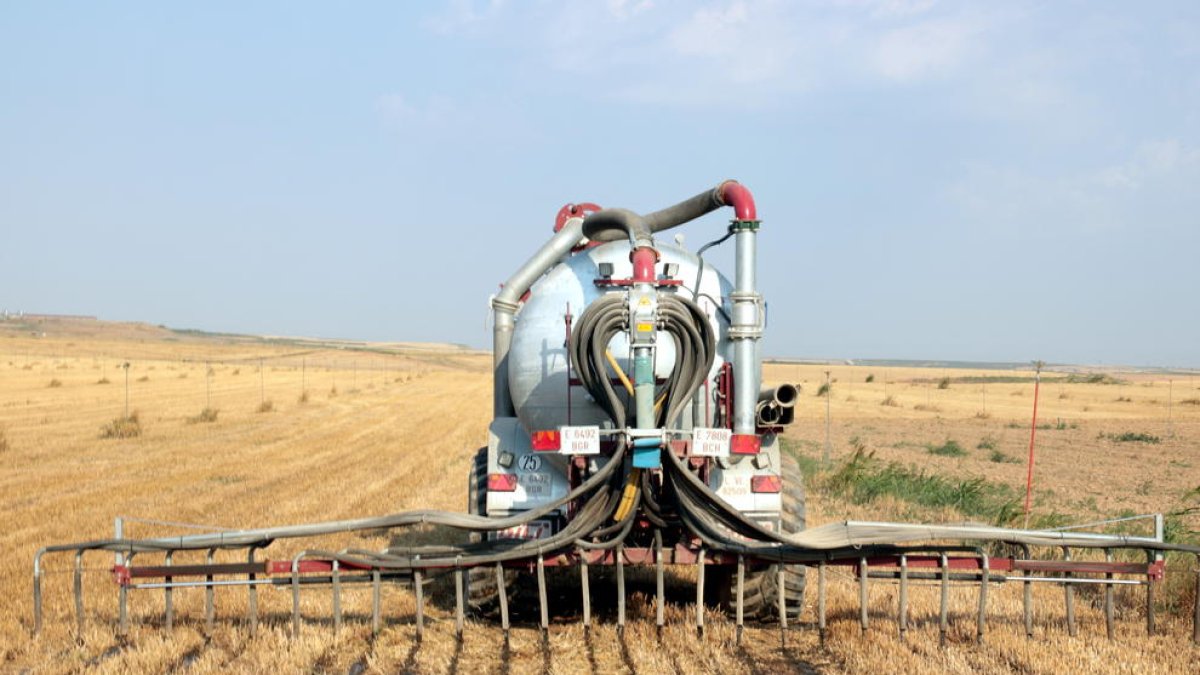 Imatge d’arxiu d’una cisterna aplicant purins com a fertilitzant en una finca de la Noguera.