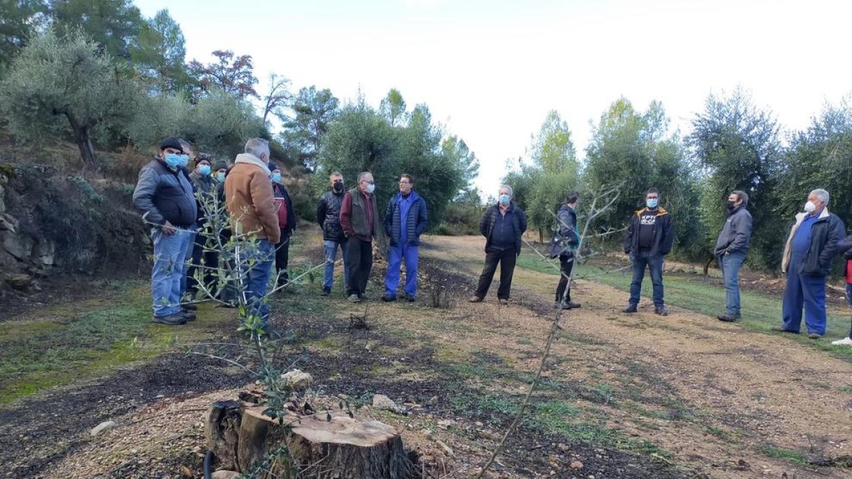 Pagesos de Bovera reunits dimecres en una finca afectada.
