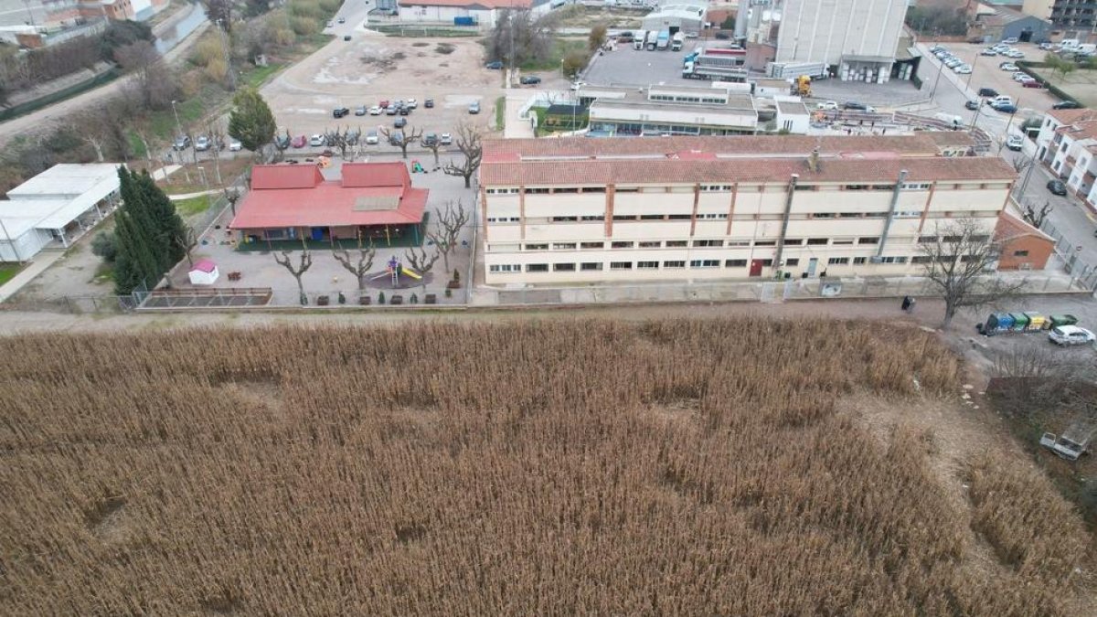 Imagen de la finca en la que se observan los daños.