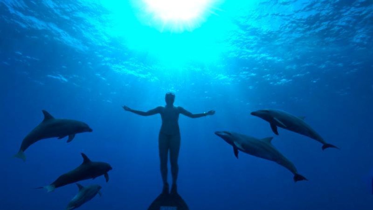 ‘The Cove’ es un premiado documental sobre la matanza periódica de delfines en Japón.