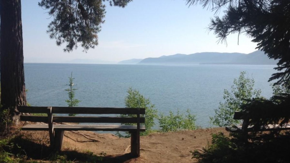 La Universitat de Lleida lidera un projecte per implantar un màster a Rússia i Mongòlia