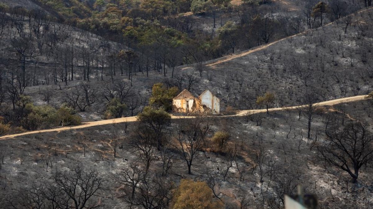 El fuego ha arrasado todo a su paso, como muestra esta imagen captada en Estepona.