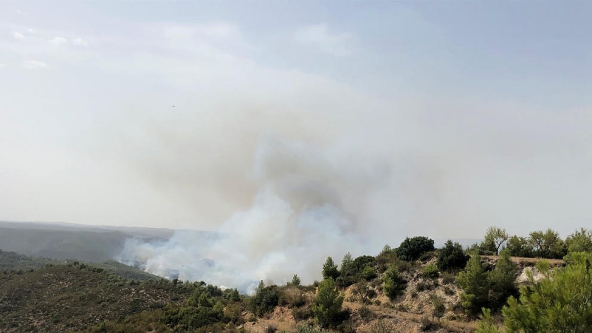 L'incendi de la Pobla de Massaluca afecta l'espai protegit de Riba-Roja