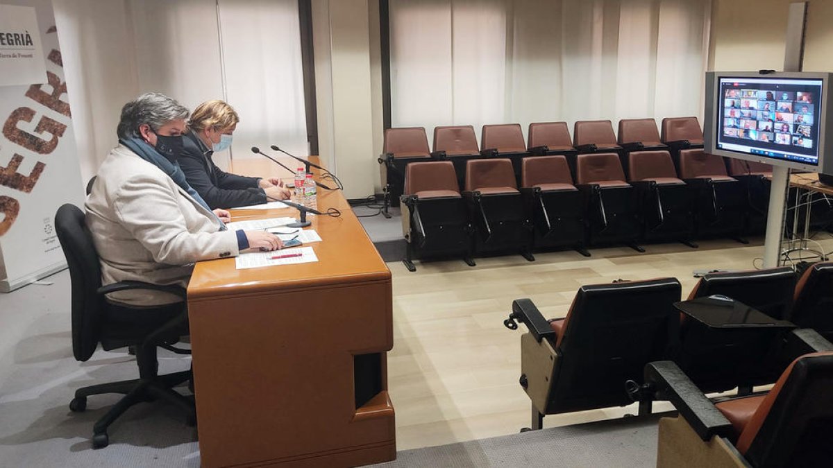 El ple on line que es va celebrar ahir al consell del Segrià.