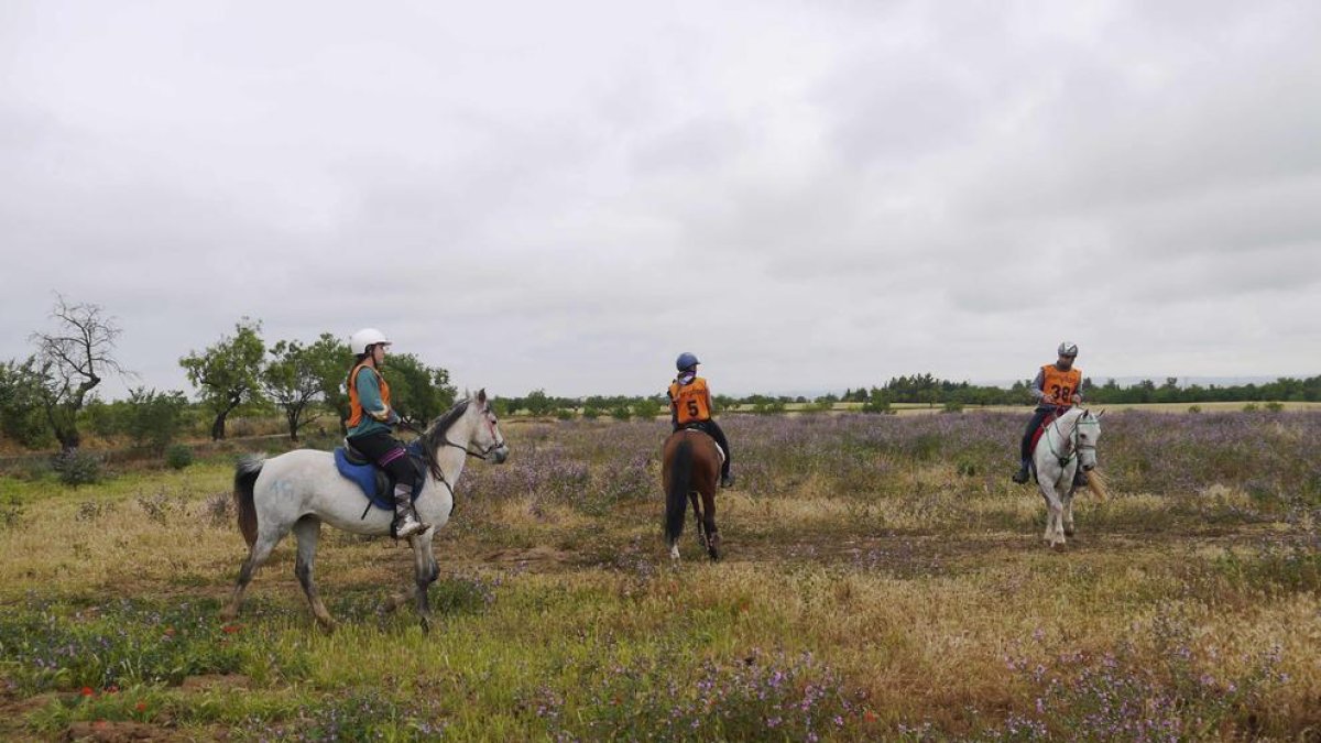 Medio centenar de participantes en el segundo Raid Ciutat de Tàrrega