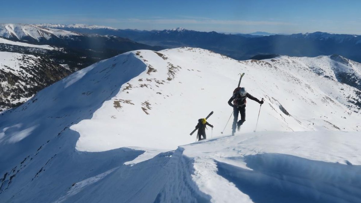 La UIM de los Mossos ha hecho este año 86 búsquedas.