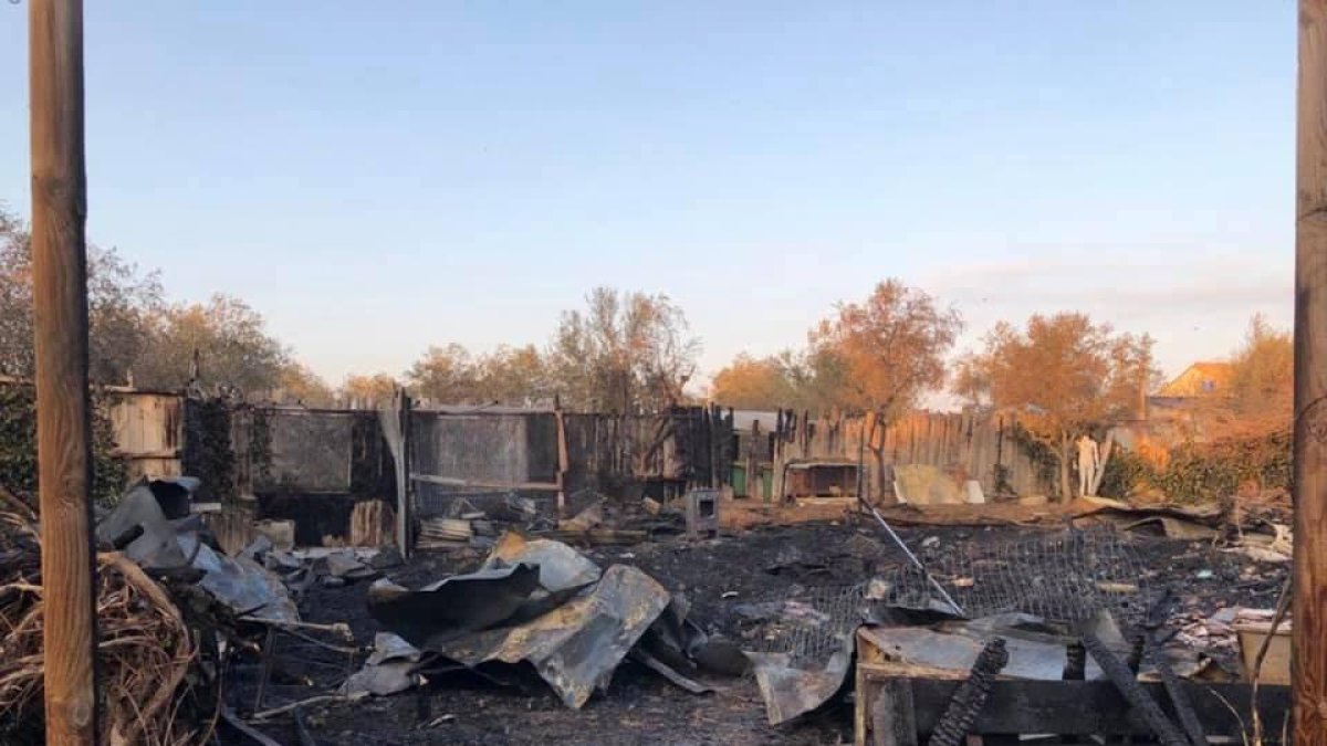 El fuego en la protectora de Mata de Pinyana calcina la zona de curas