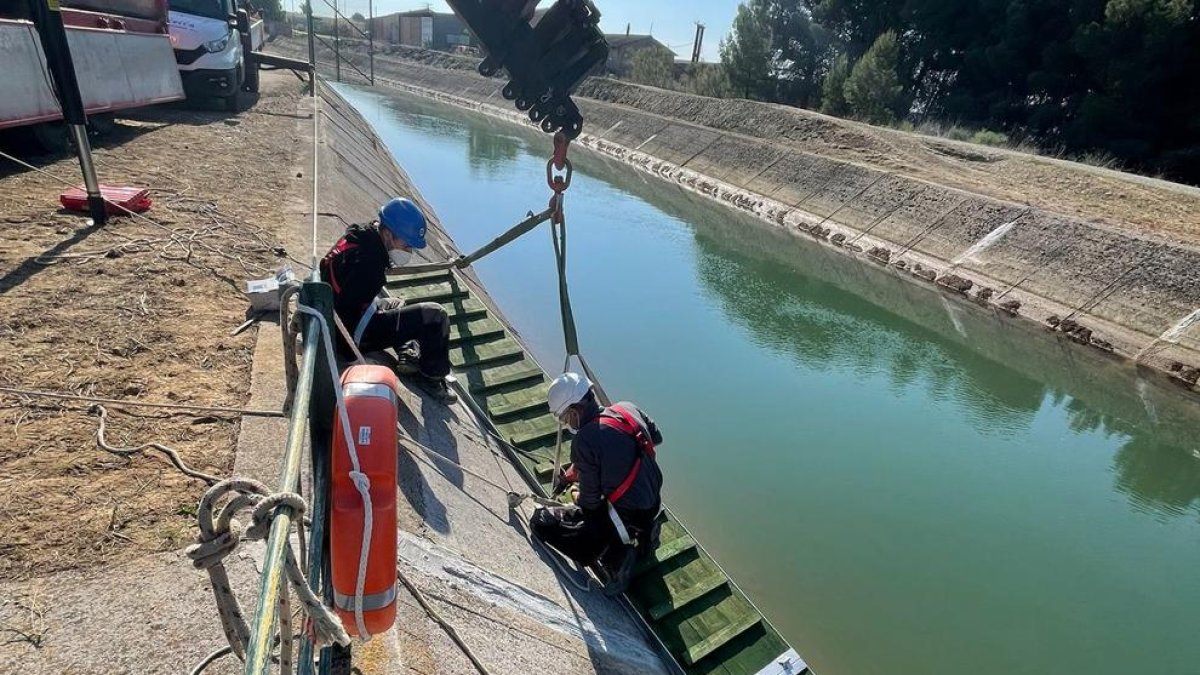 La instalación de la pasarela para fauna.