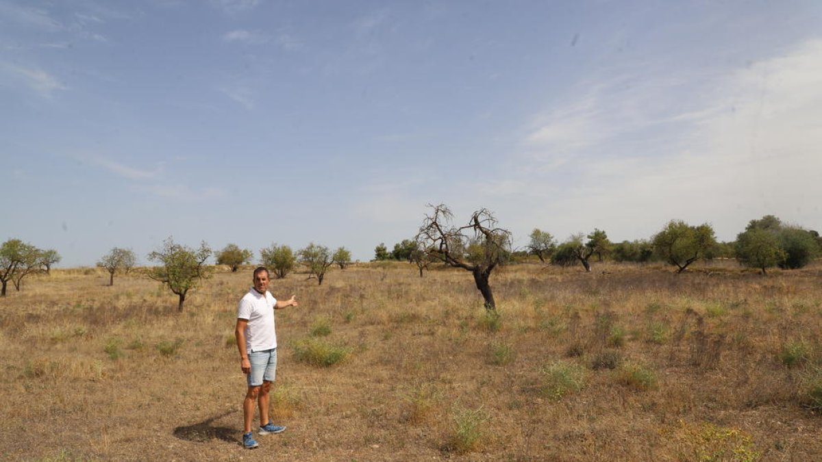 L'allau de projectes per a centrals eòliques i solars a Lleida passa a ser un degoteig